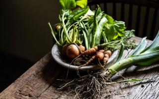 Vegetables are taken to the pub every day.