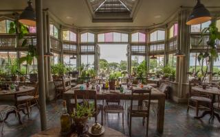 The restaurant at The Pig on the Beach with its terracotta pots of herbs and sea views.