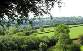 Lovely views throughout the walk across pastoral countryside