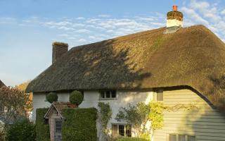 A stunning thatched cottage in nearby Nether Wallop.