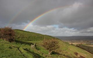 The right-fork bridleway track on Hambledon Hill at point 3.