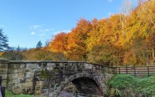 Autumn colour at Hold Caldron.