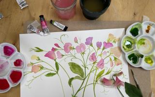 Allie Pottinger's Sweet Peas