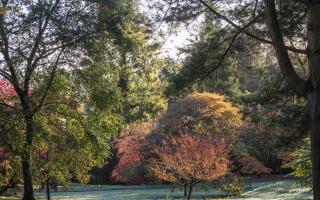 Batsford glows in the early light of a crisp autumn morning.