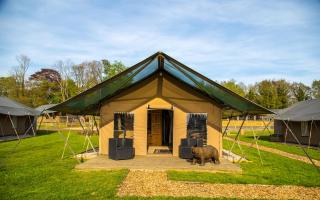 Bear Lodge at Port Lympne