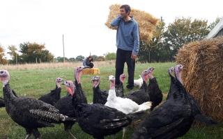 Philip Hunter of Suffolk Turkeys in Fressingfield Photo: Suffolk Turkeys