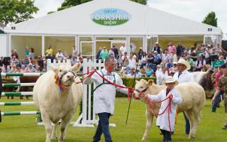 The Great Yorkshire Show is back for its 165th year.